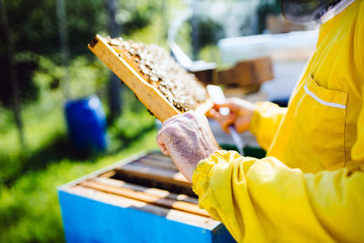 Midsection beekeeper inspecting beehive