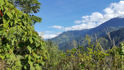 Scenic view of mountains against sky