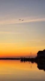 Silhouette birds flying over lake against sky during sunset