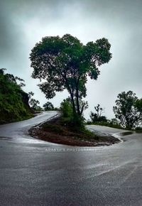 Road amidst trees against sky