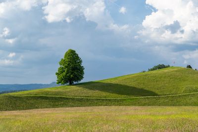 Scenic view of land against sky