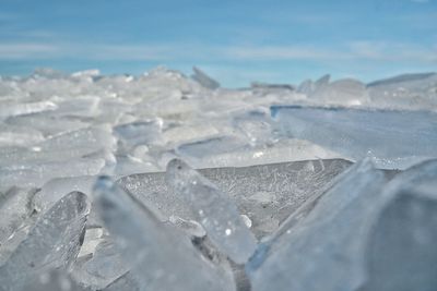 Close-up of ice crystals on land against sky