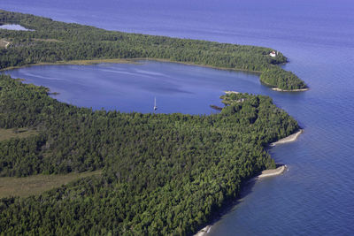 High angle view of trees on land