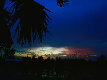 Low angle view of silhouette palm trees against blue sky