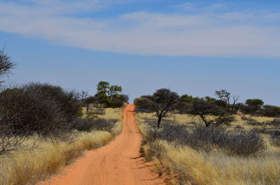 Road amidst trees against sky