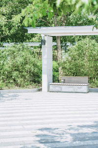 Empty bench on footpath by trees