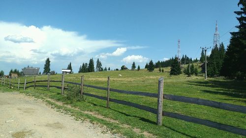 Scenic view of grassy field against sky