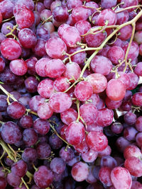 Close-up of grapes