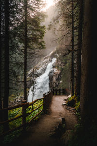 Scenic view of waterfall in forest