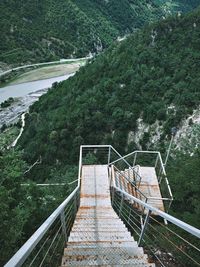 High angle view of footbridge amidst trees