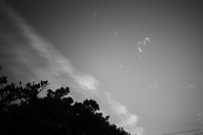 Low angle view of trees against sky