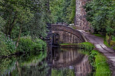 Bridge over river with trees in background