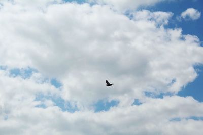 Low angle view of bird flying against cloudy sky