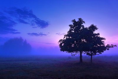 Silhouette tree on field against sky during sunset