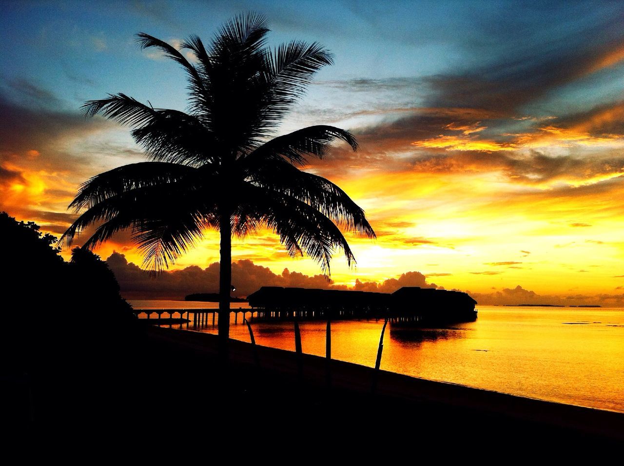 sunset, palm tree, water, sea, sky, silhouette, tranquil scene, scenics, tranquility, beauty in nature, tree, cloud - sky, orange color, nature, horizon over water, idyllic, beach, dramatic sky, cloud, dusk