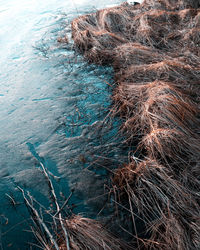 High angle view of water flowing through rocks