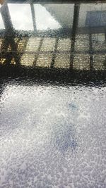 Reflection of trees on wet street