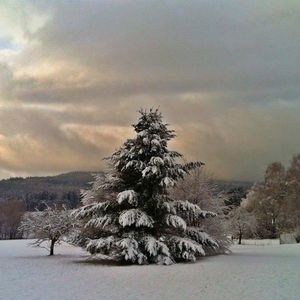 Scenic view of snow covered field against sky