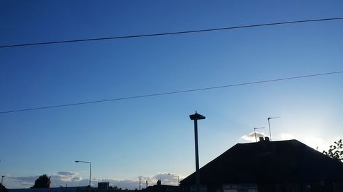 Low angle view of birds perching on power line against blue sky