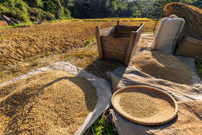 High angle view of hay bales on field