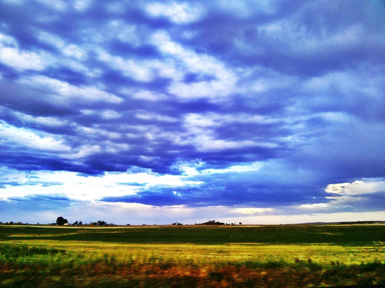 sky, field, landscape, tranquil scene, tranquility, cloud - sky, grass, scenics, beauty in nature, cloudy, nature, cloud, rural scene, grassy, growth, agriculture, horizon over land, idyllic, non-urban scene, green color