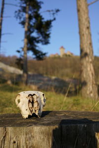 Close-up of wooden post on field against sky