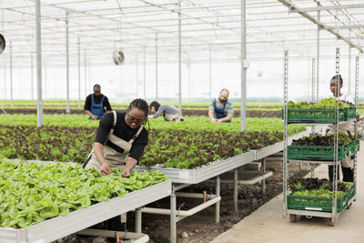 People in greenhouse