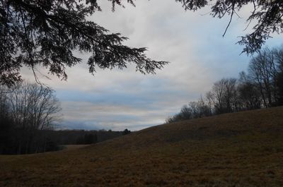 Trees on farm against sky