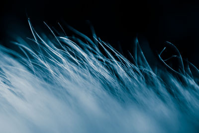 Colorful closeup of a fur, abstract background