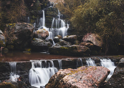 Scenic view of waterfall in forest