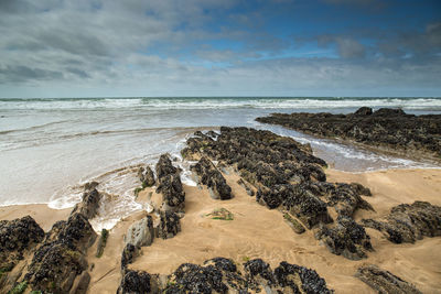 Scenic view of beach against sky