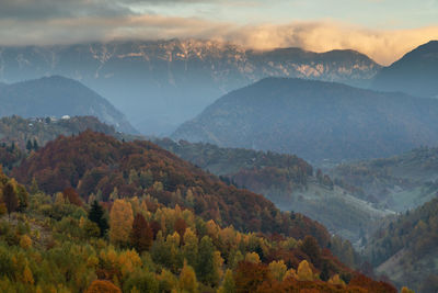 Mountain rural