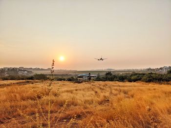 Scenic view of field against sky during sunset