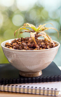 Close-up of food in bowl on table