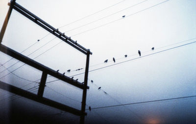 Low angle view of birds perching on cable against sky