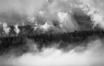 Panoramic view of forest against sky