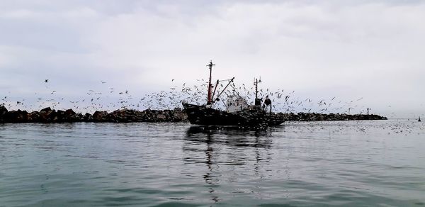 View of birds on sea against sky