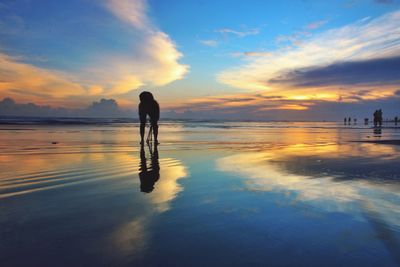 Silhouette man on beach against sky during sunset