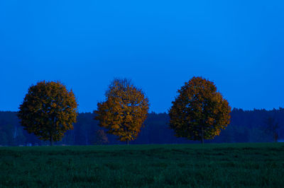 Trees on field against clear blue sky