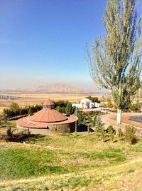 Trees on field against clear blue sky
