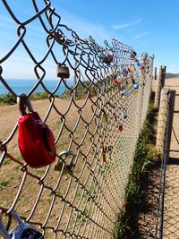 Padlocks hanging on chainlink fence