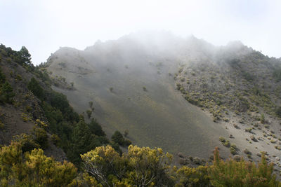 Scenic view of landscape against sky during foggy weather