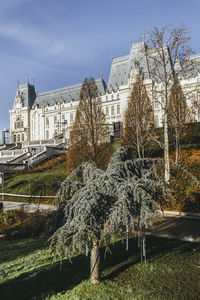 Bare trees in front of built structure