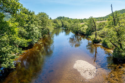 Scenic view of lake in forest against sky