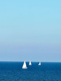 Sailboat sailing in sea against clear sky