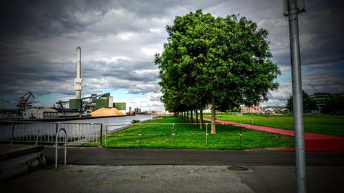 Trees by grass in city against sky