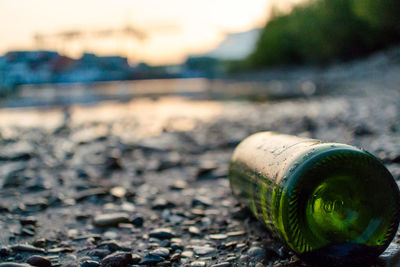 Close-up of beer bottle