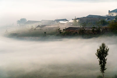 Fog enveloped residents in the dieng plateau, in central java.