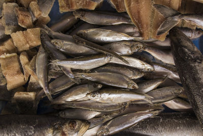 High angle view of fish for sale in market