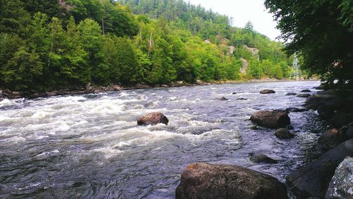 River flowing through rocks